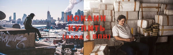 крисы Елизово