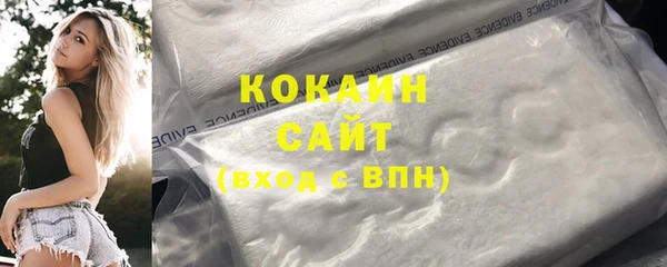 мет Ельня