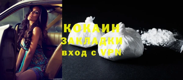 мет Ельня