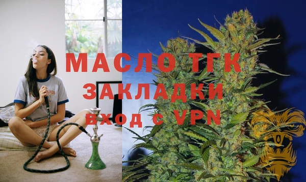 мет Ельня