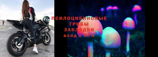 крисы Елизово