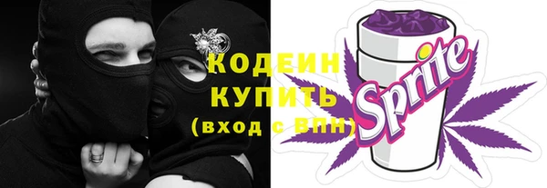 крисы Елизово