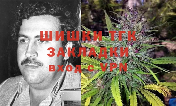 мет Ельня