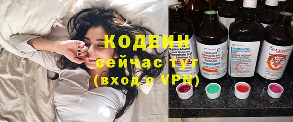 мет Ельня