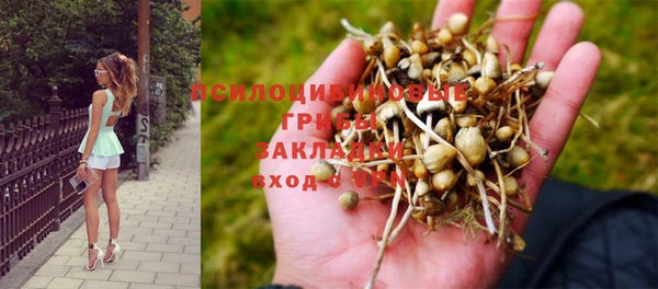 крисы Елизово