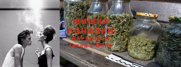 крисы Елизово