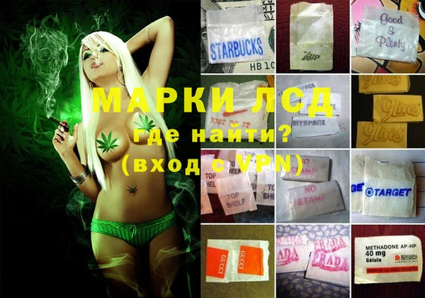 крисы Елизово