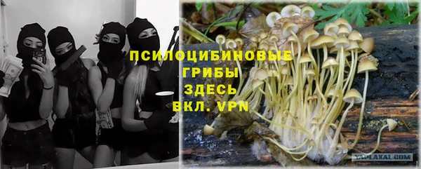 2c-b Елабуга