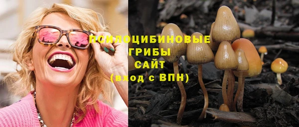 2c-b Елабуга