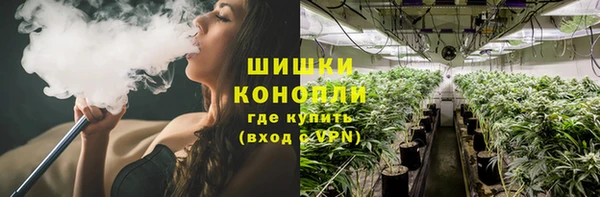 мет Ельня
