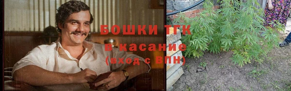 крисы Елизово