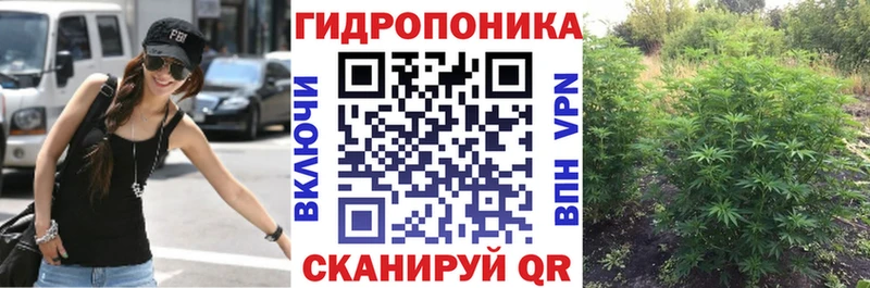 Купить закладки  Мамоново  Канабис сатива 